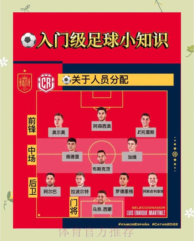 本届世界杯巴西哈兰德比赛解读完整指南